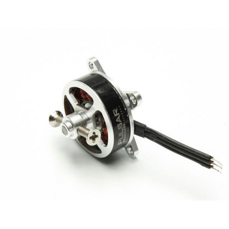 Pulsar Shocky BL Motor