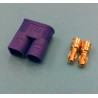 EC 3 Stecker