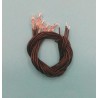 6 Volt Glühbirnchen 5 St. trans.