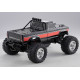 Ford F100 1:10 RTR/2WD