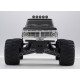 Ford F100 1:10 RTR/2WD