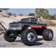 Ford F100 1:10 RTR/2WD