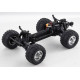 Ford F100 1:10 RTR/2WD