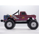 Ford F100 1:10 RTR/2WD