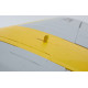 DERBEE XCub"STOL"