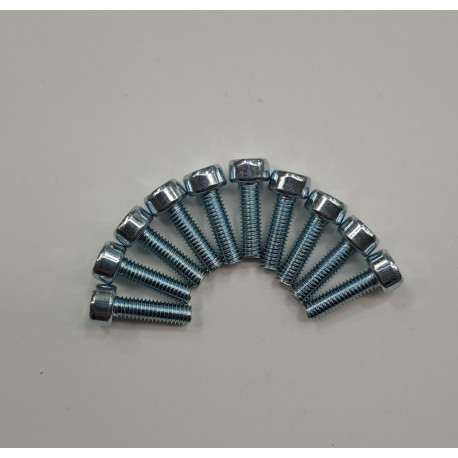 6Kt. Zyl. Schrauben M3x10